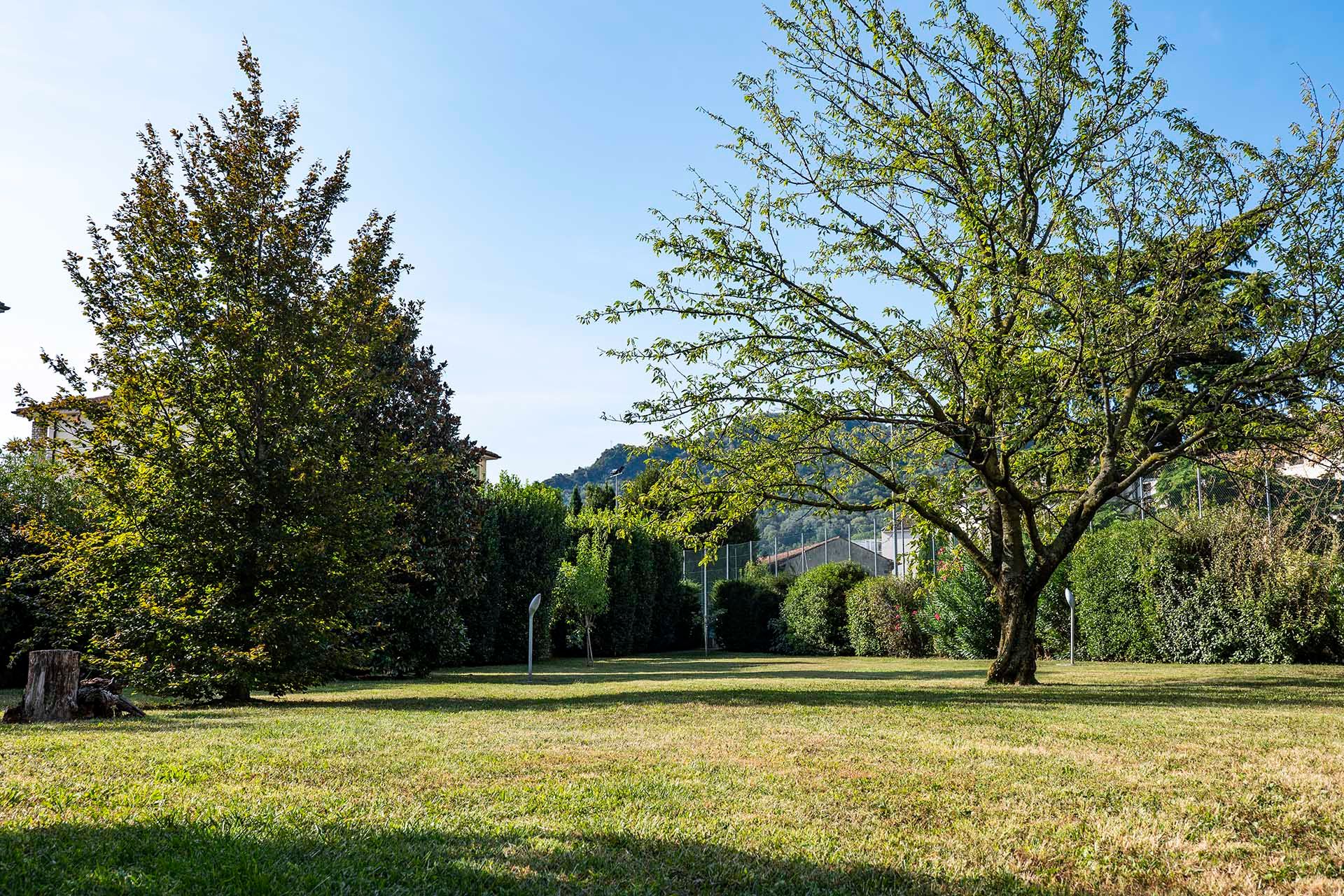 Alberi in un parco