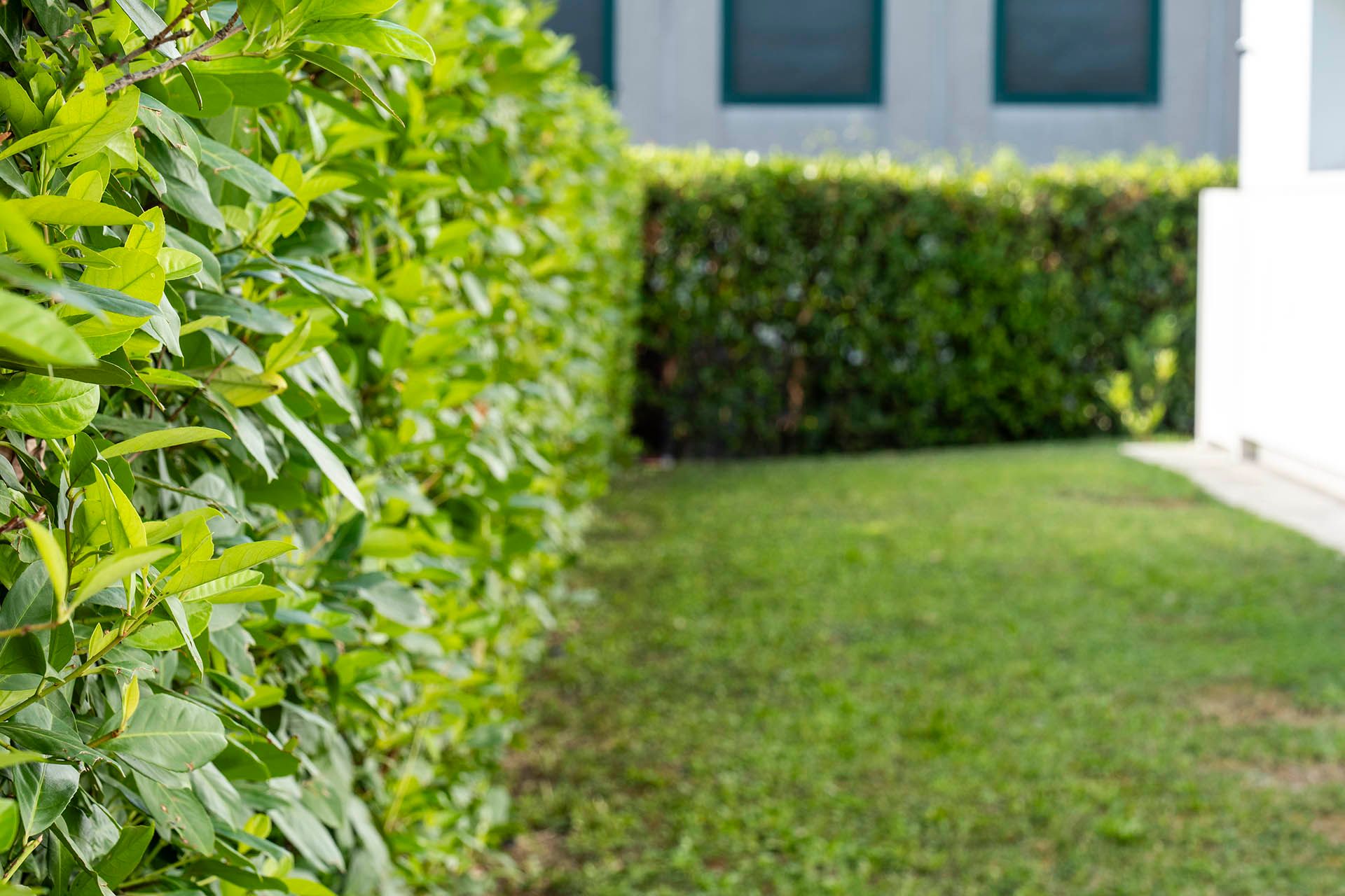 Foto realizzazione area verde per committente Asilo Internazionale 'Il giardino dei Colori' 