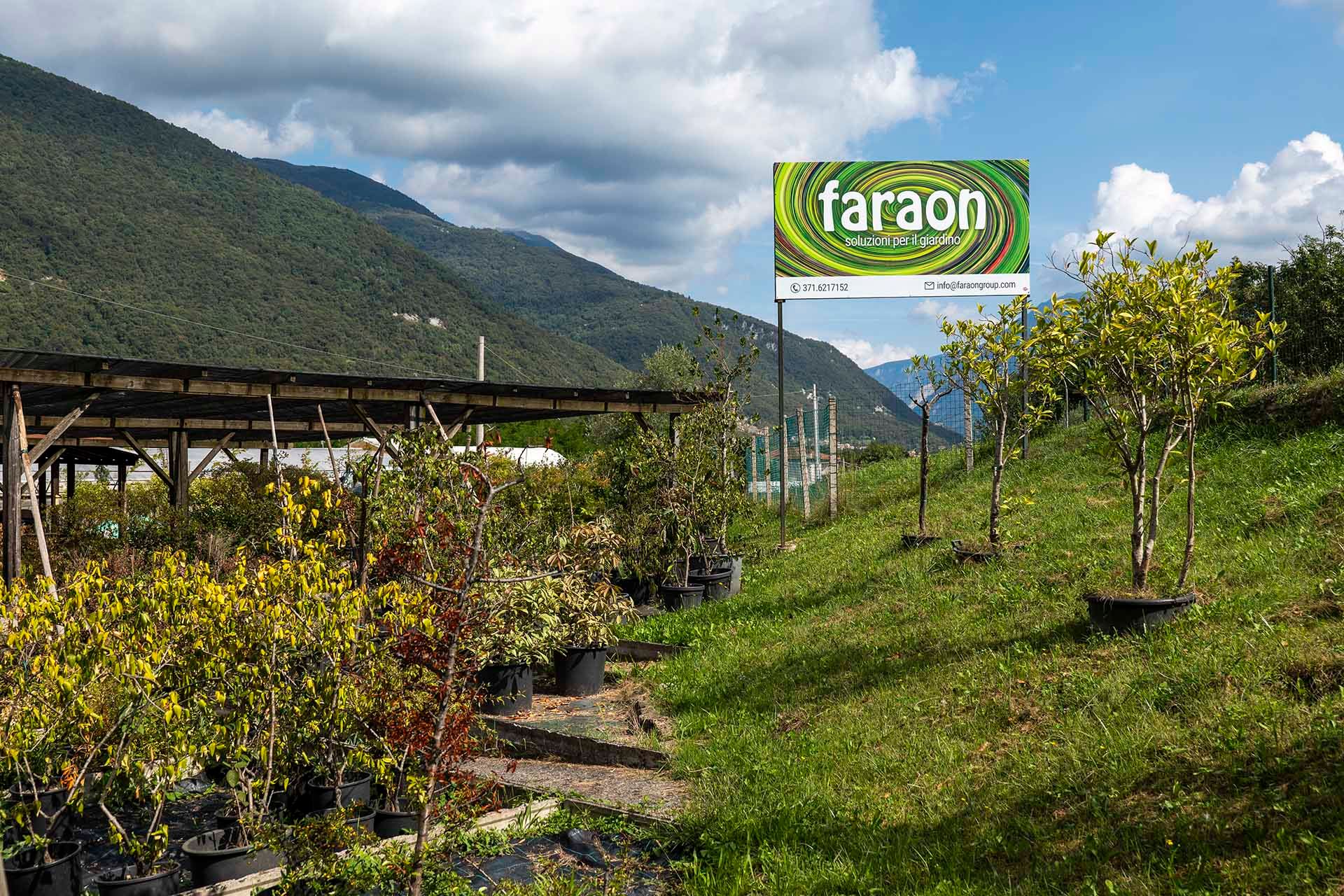 Azienda Faraon