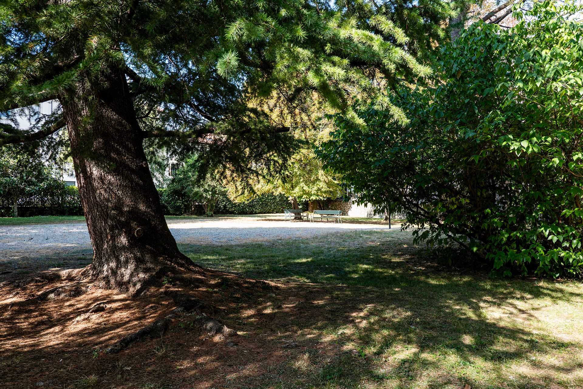 Foto manutenzione giardino di un condominio in provincia di Treviso' 