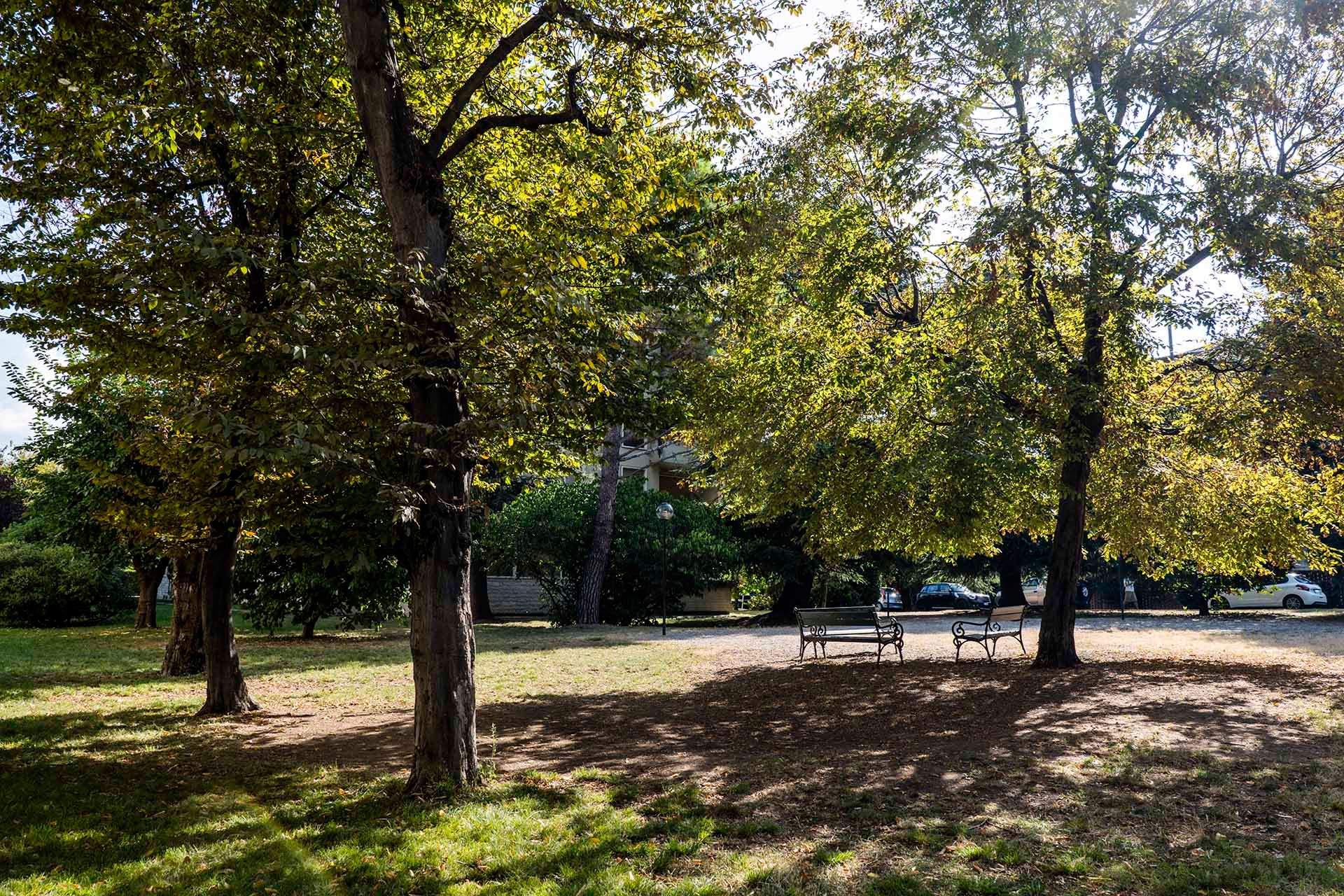 Foto manutenzione giardino di un condominio in provincia di Treviso' 