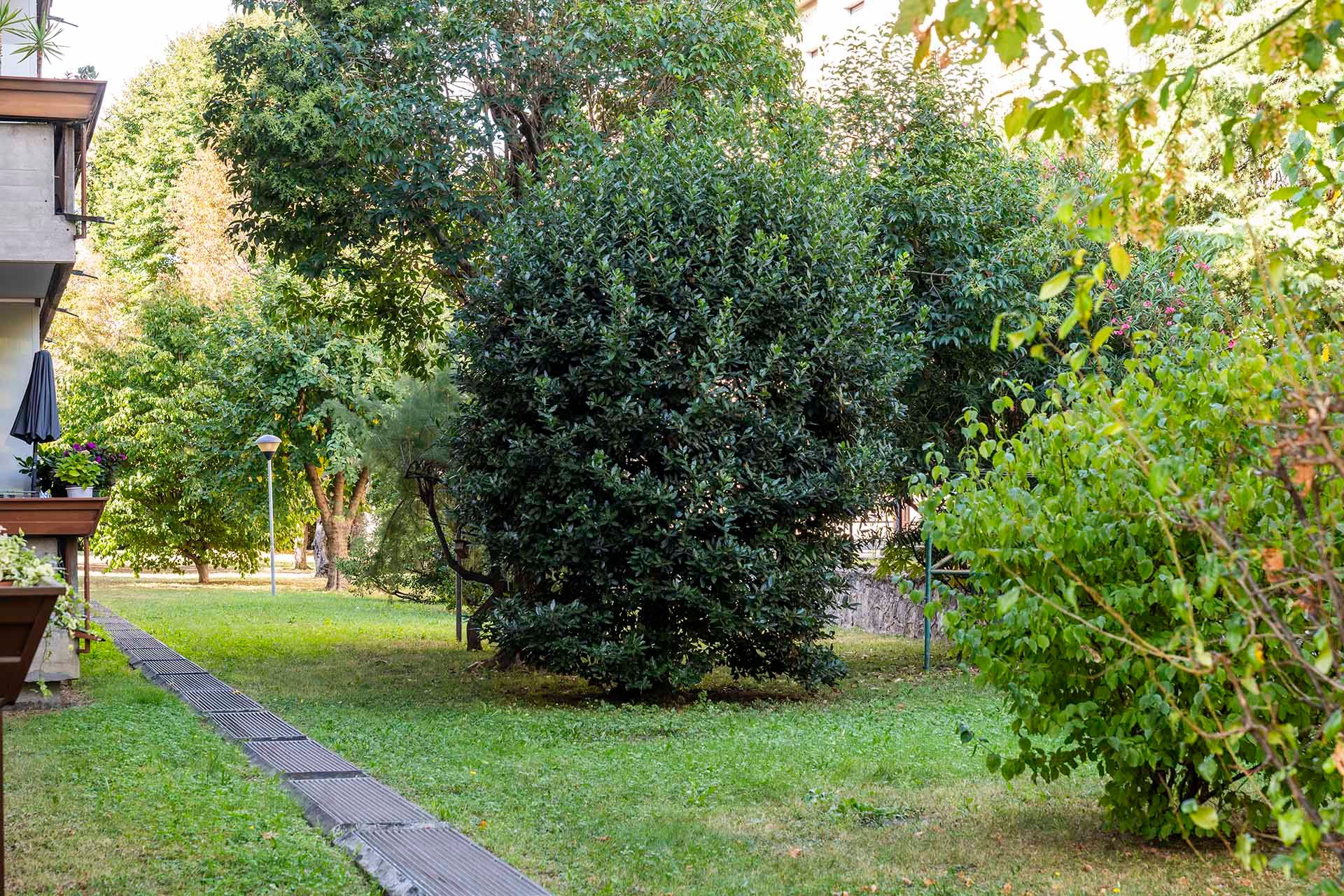 Foto manutenzione giardino di un condominio in provincia di Treviso' 