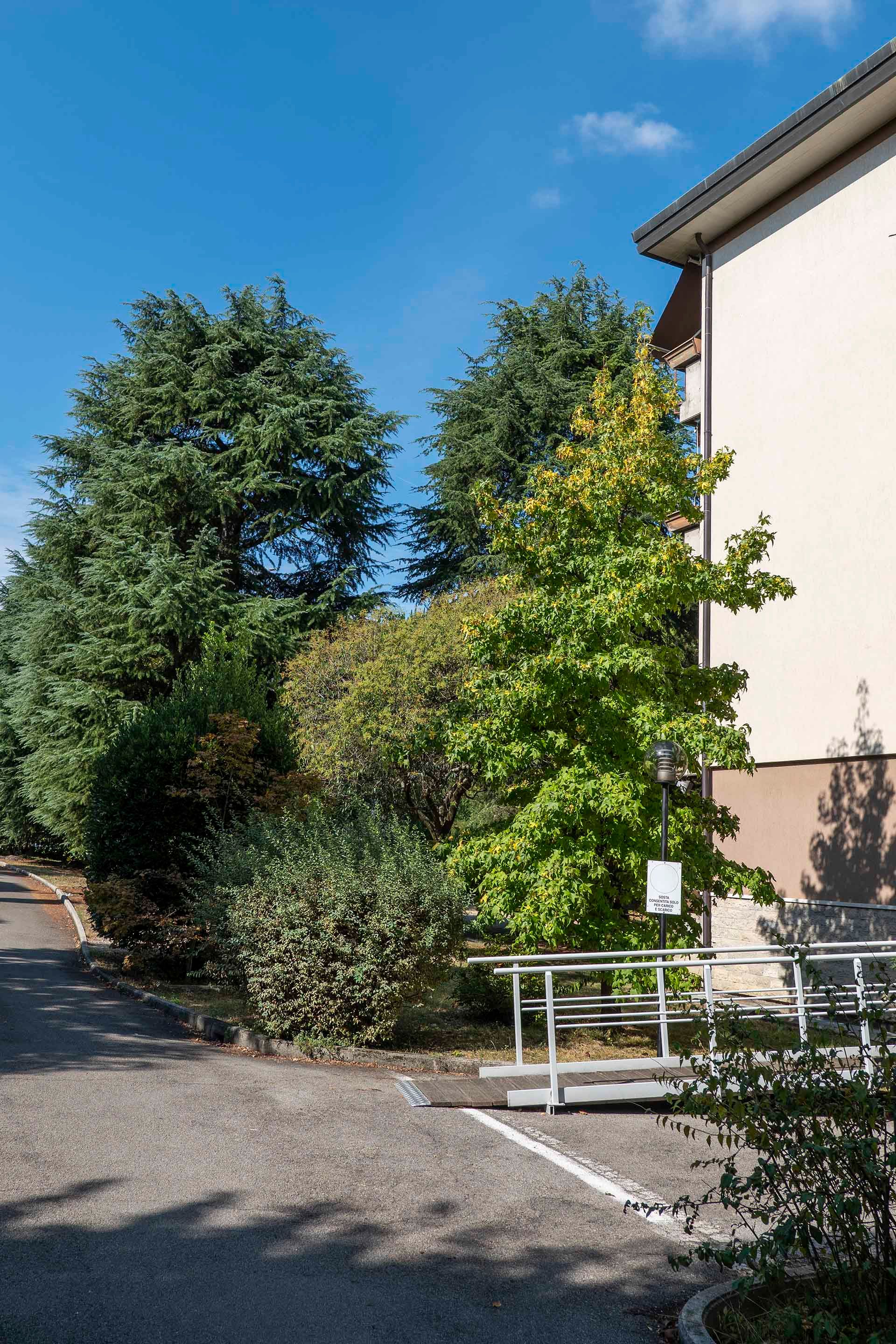 Foto manutenzione giardino di un condominio in provincia di Treviso' 