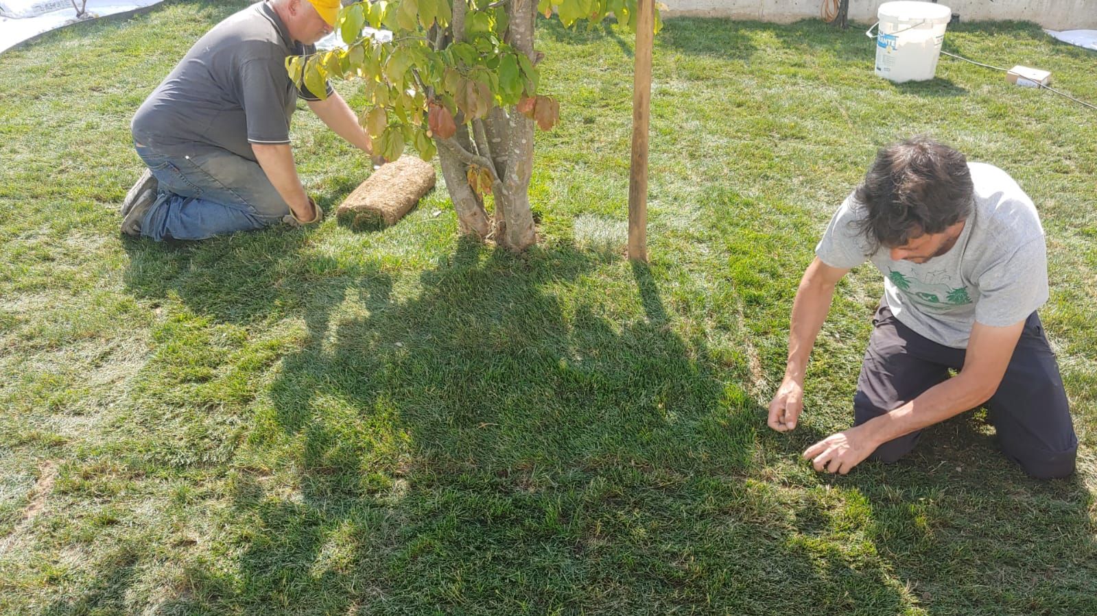 Foto realizzazione giardino privato a Sacile