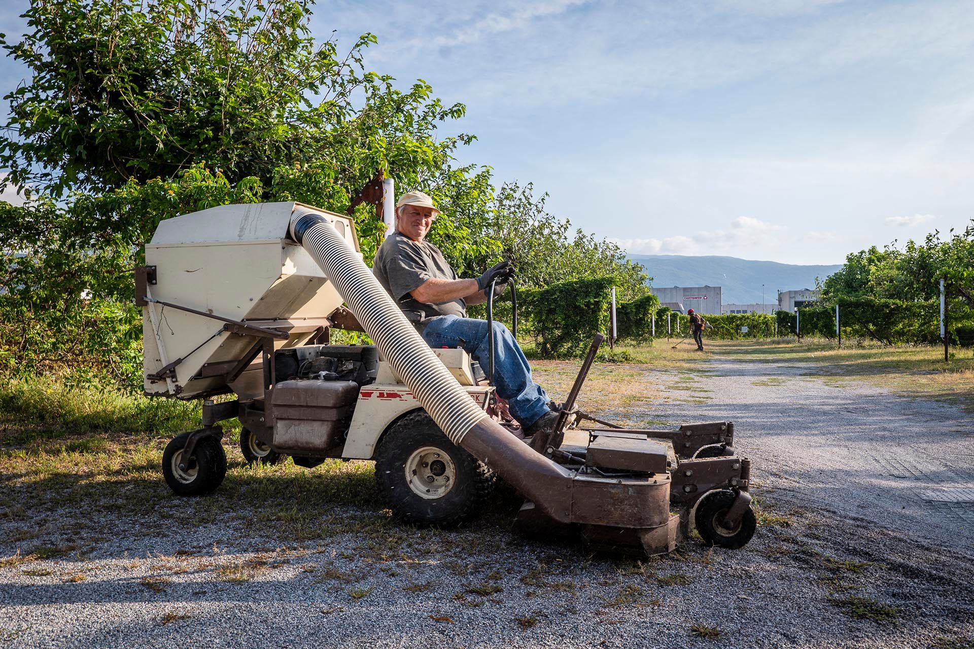 Manutenzione del verde di un parcheggio