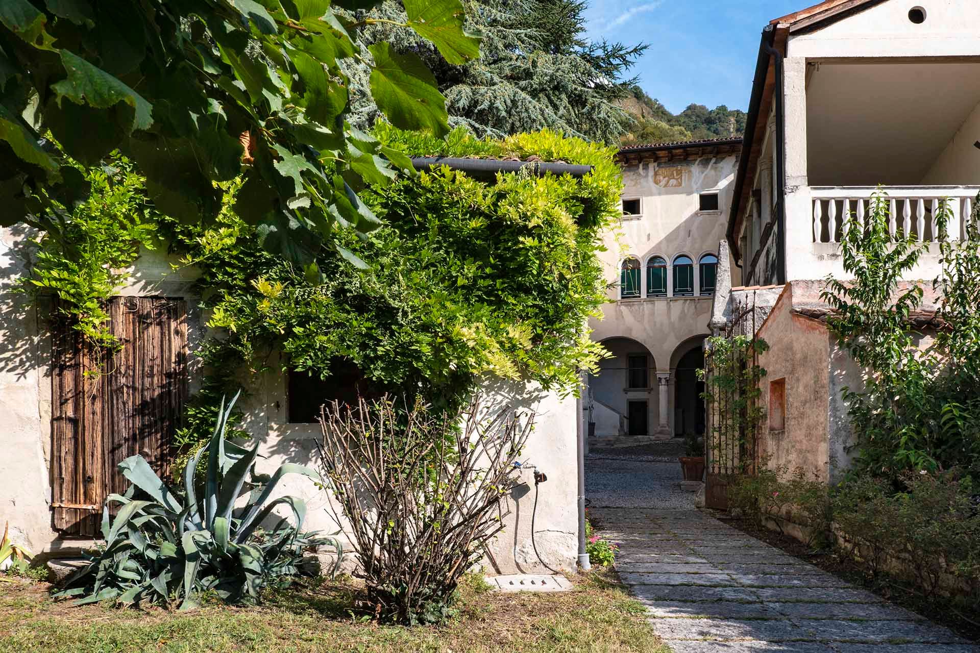 Foto manutenzione giardino residenza Palazzo Cittolini' 