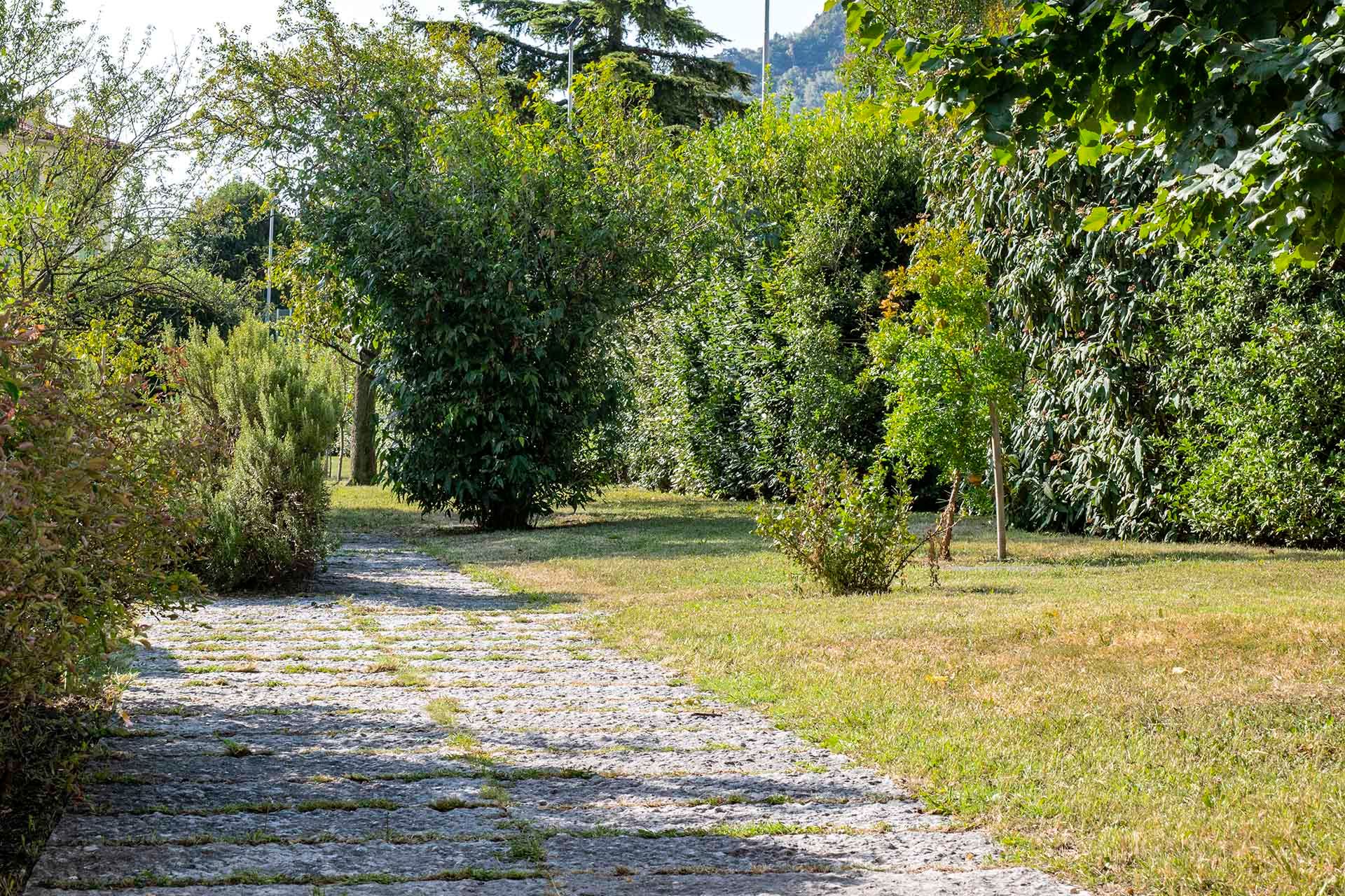 Foto manutenzione giardino residenza Palazzo Cittolini' 