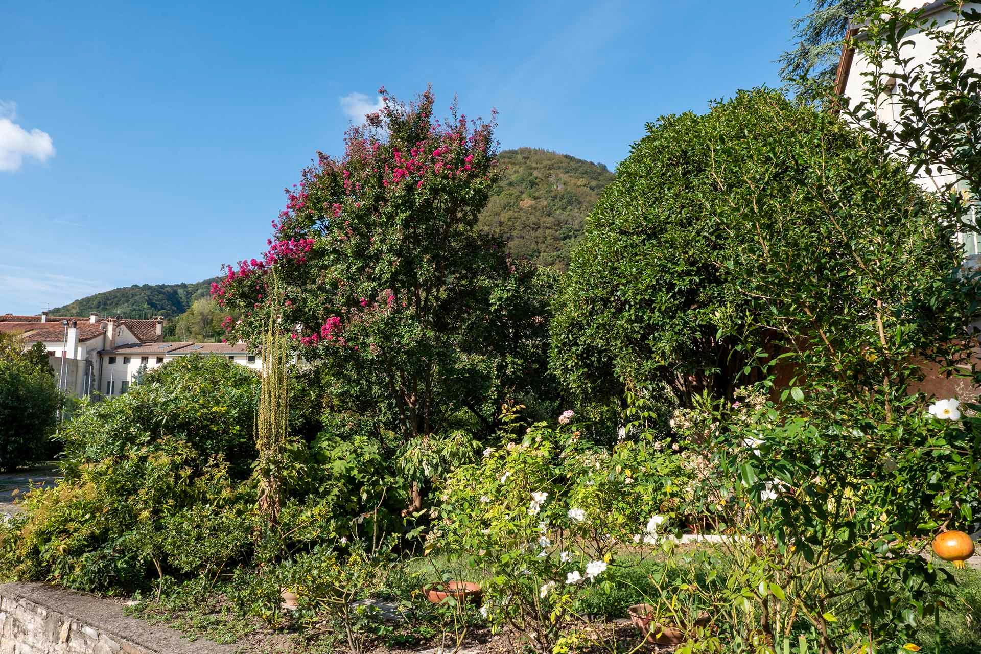 Foto manutenzione giardino residenza Palazzo Cittolini' 