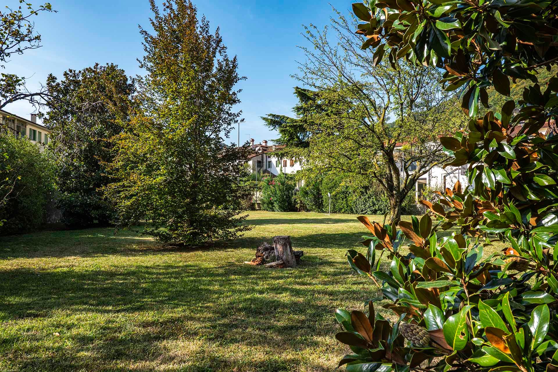 Foto manutenzione giardino residenza Palazzo Cittolini' 