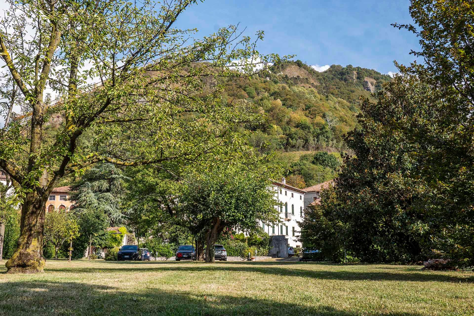 Foto manutenzione giardino residenza Palazzo Cittolini' 