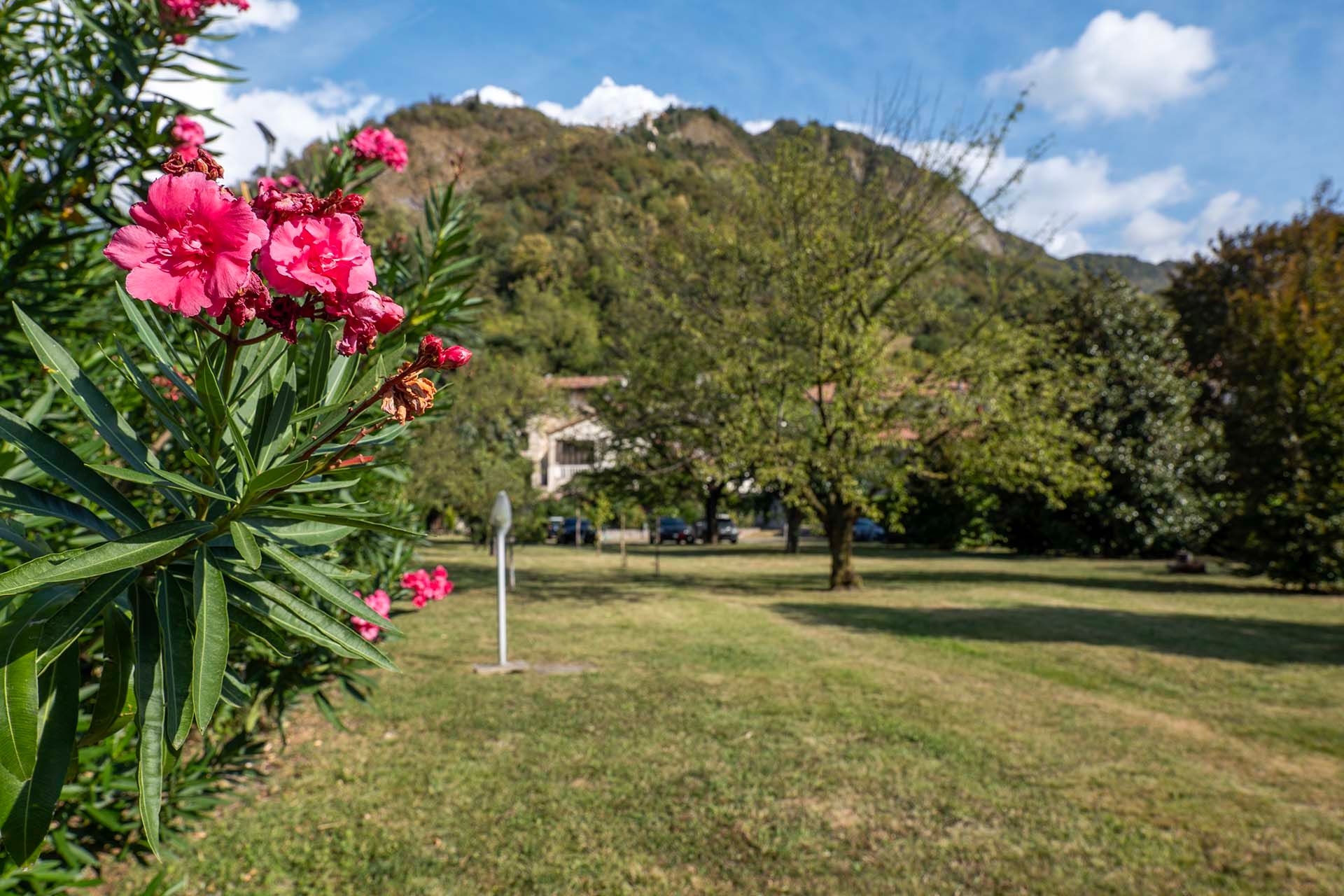 Foto manutenzione giardino residenza Palazzo Cittolini' 