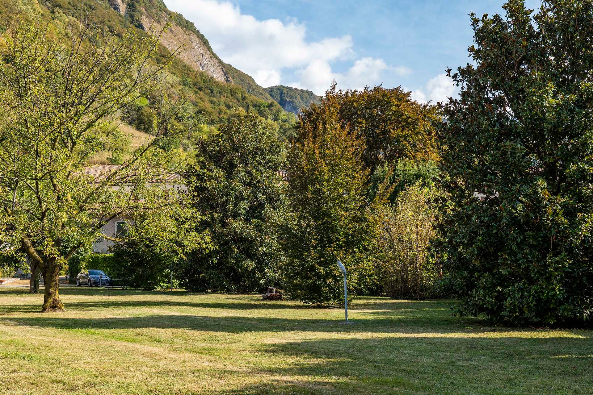 Foto manutenzione giardino residenza Palazzo Cittolini' 