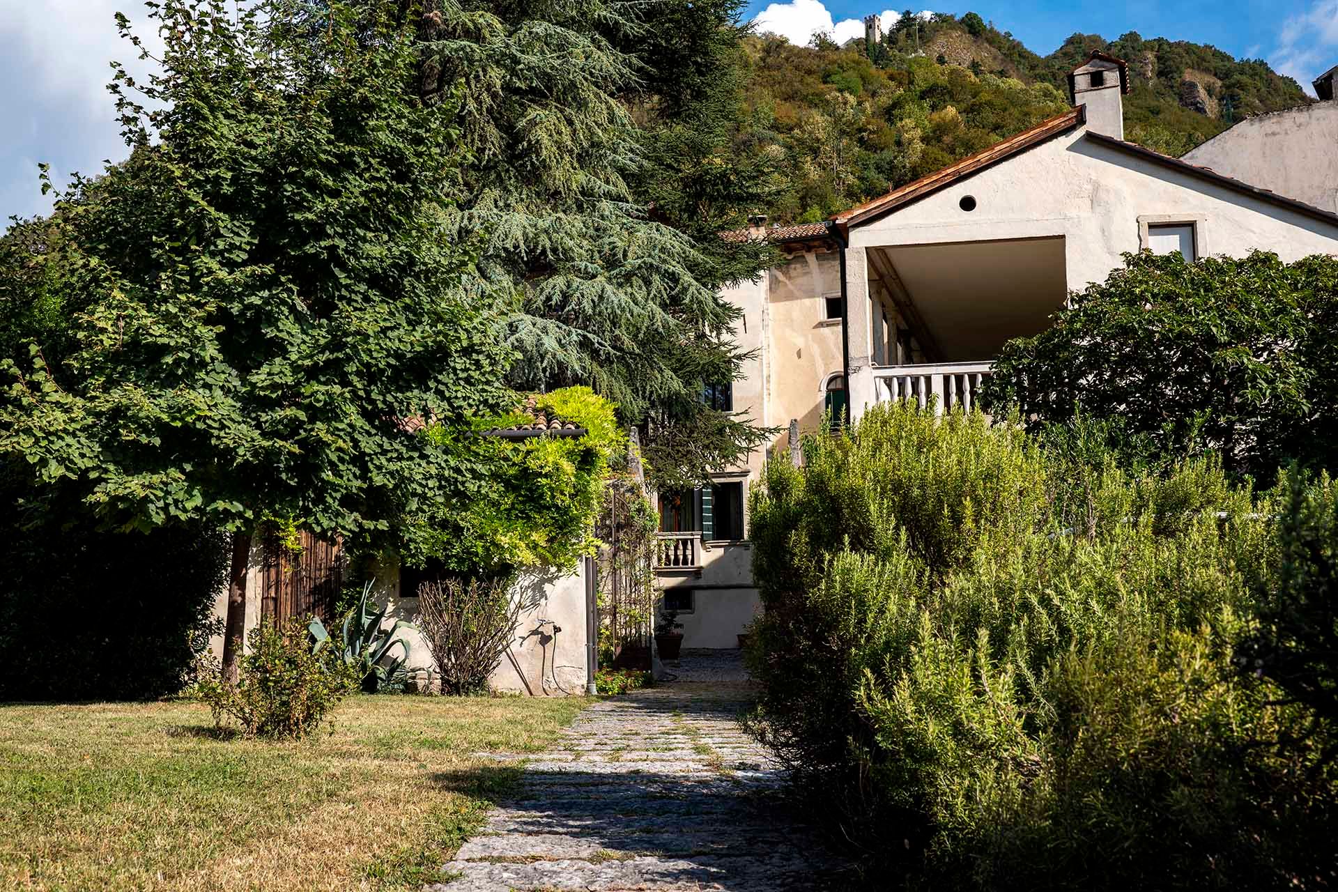 Foto manutenzione giardino residenza Palazzo Cittolini' 