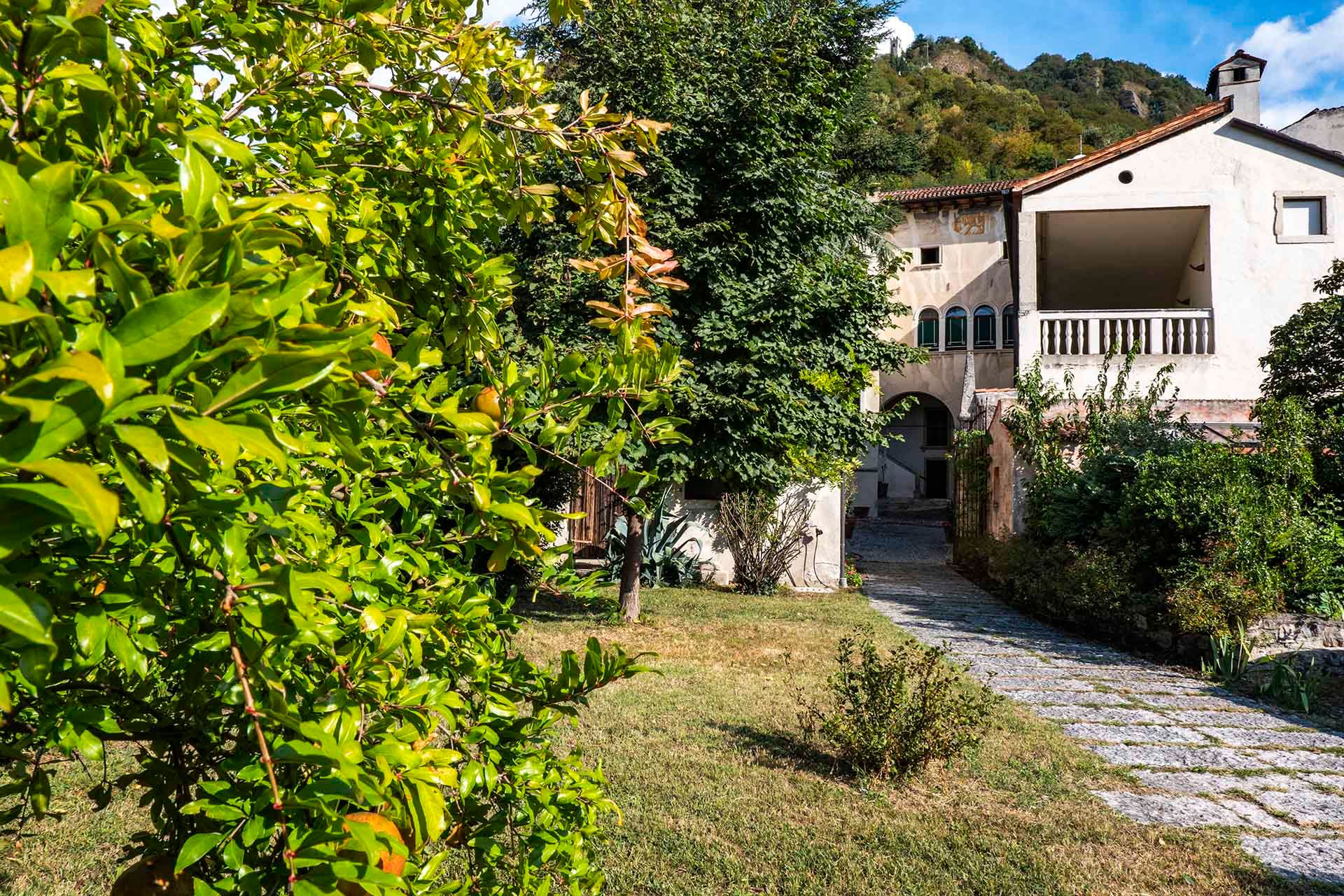 Foto manutenzione giardino residenza Palazzo Cittolini' 