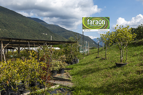  The Secret Garden - Soluzioni per il giardino, Faraon Srls