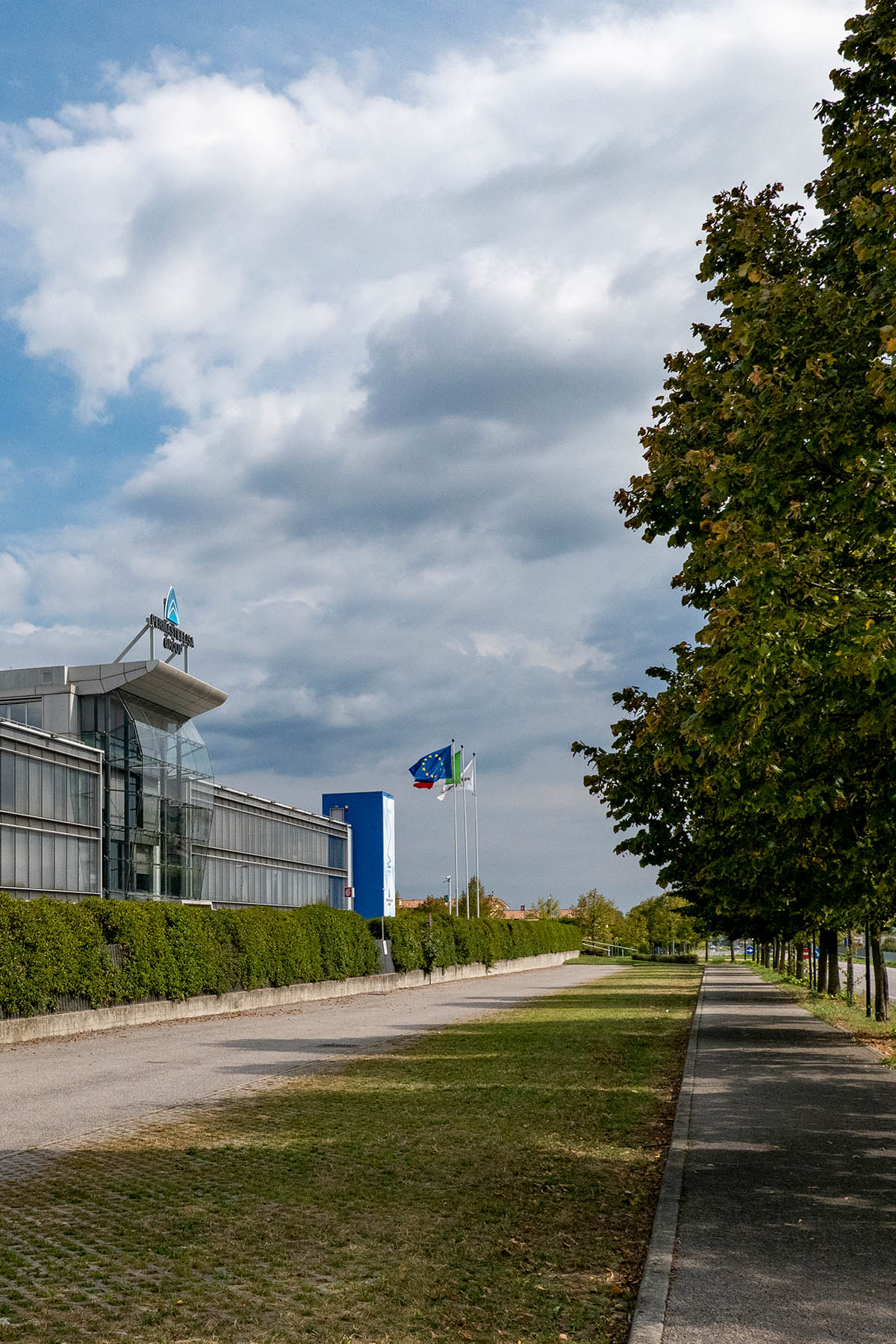 Manutenzione generale di tutta l'area verde interna ed esterna aziendale che continuiamo a realizzare tutt'oggi con soddisfazione di Permasteelisa.