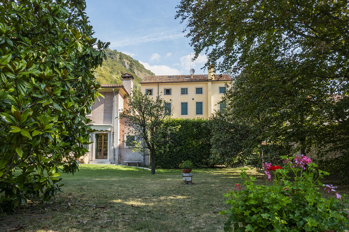 La committente ci incarica da diversi anni della manutenzione straordinaria del verde del suo parco costituito da diversi arbusti ad alto fusto e da una siepe perimetrale di oltre 3 metri.