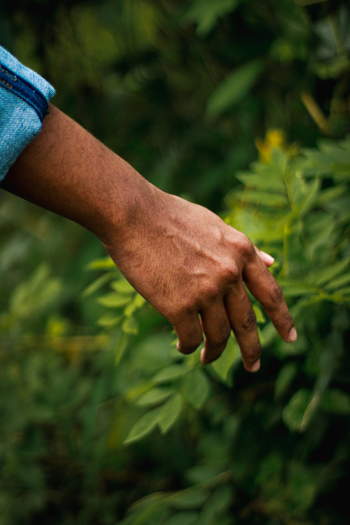 Consulenze esperte su piante, arbusti e manti erbosi. Gli arboricoltori di Faraon Group offrono cure precise per garantire la salute delle piante, con interventi di potatura, consolidamento e abbattimenti mirati. Scopri il ciclo stagionale delle piante con noi.